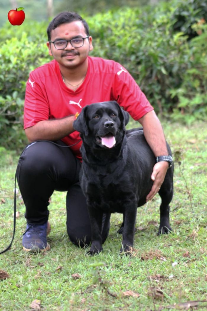 IndiaDogs-Lab-Apple