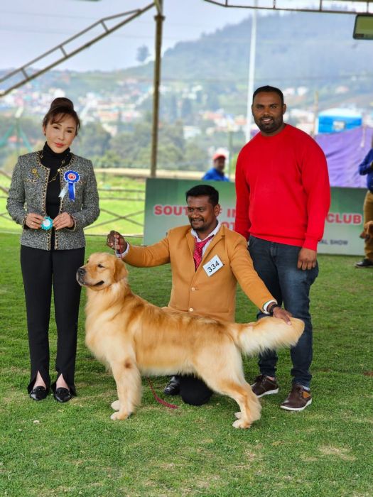 IndiaDogs Golden Jayachandra