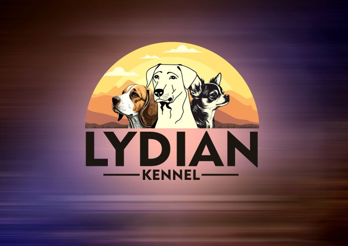 IndiaDogs Beagle Lydian